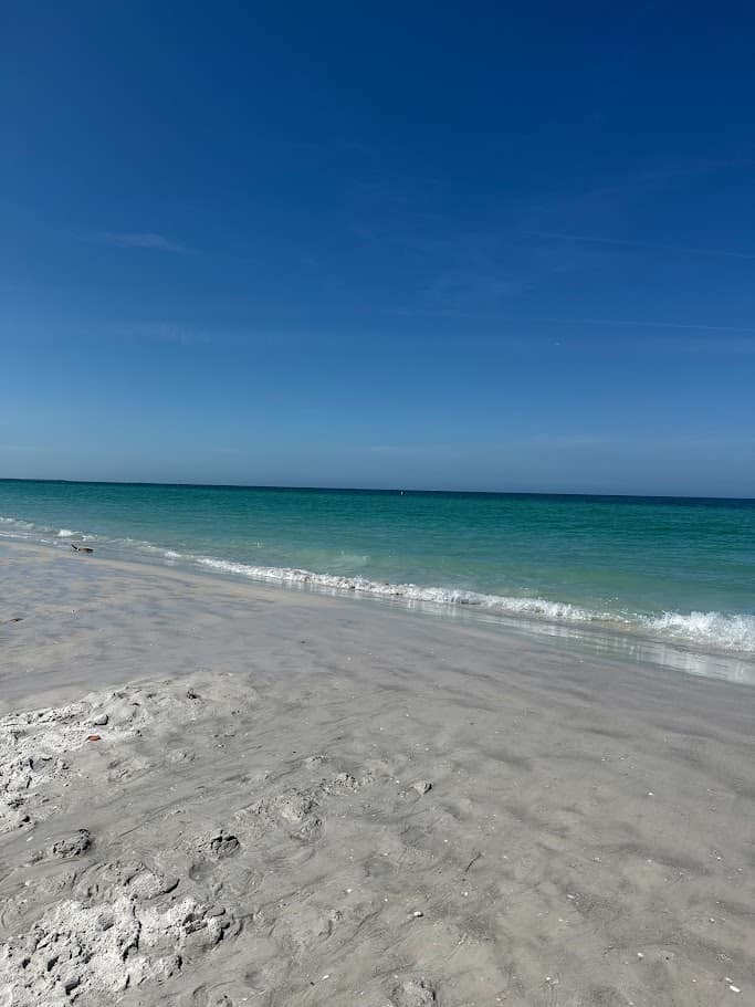 St. Pete Shopping Company beach vacation grocery delivery